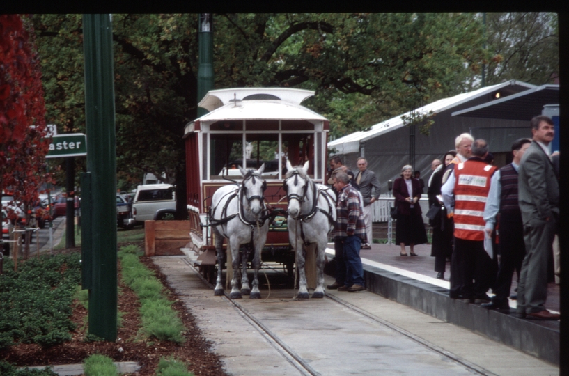 128534: Box Hill Terminus Up Opening Day Special Horse Tram 253
