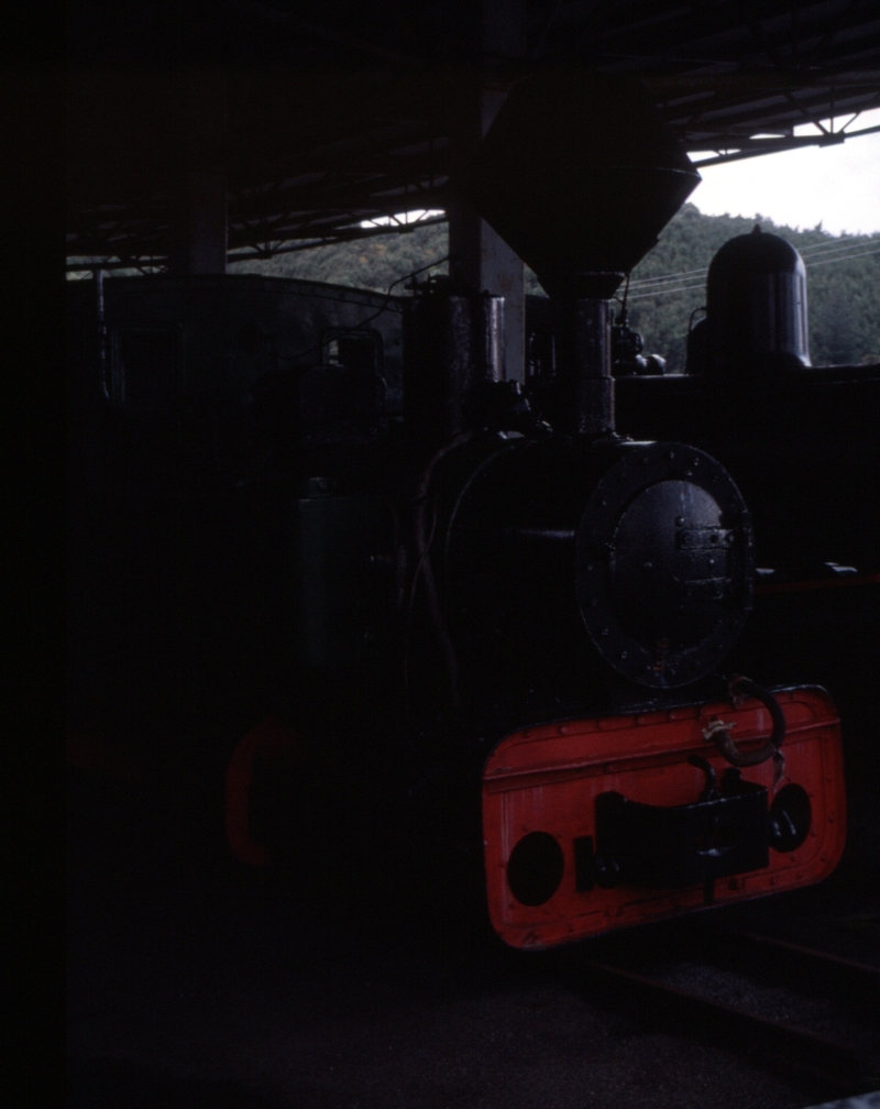 128723: Zeehan Museum MLMRC 610 gauge Krauss No 8