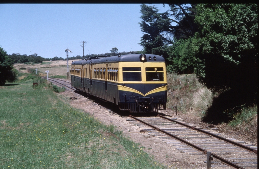 129314: Musk 91 RM AREA Special to Daylesford