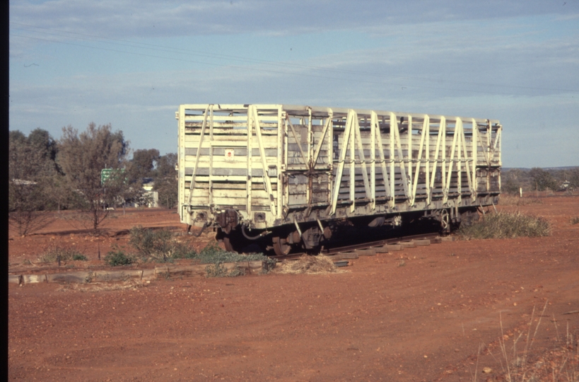 129847: Quilpie end of track looking West Preserved Livestock wagon