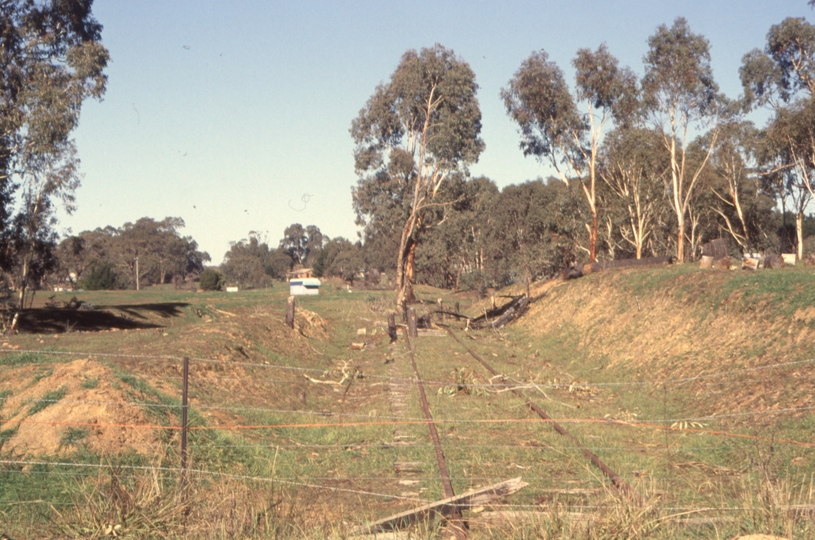 132155: Rosewood looking towards Tumbarumba from Wagga Wagga end level crossing