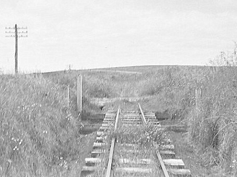 133452: Weeaproinah End of track looking towards Crowes