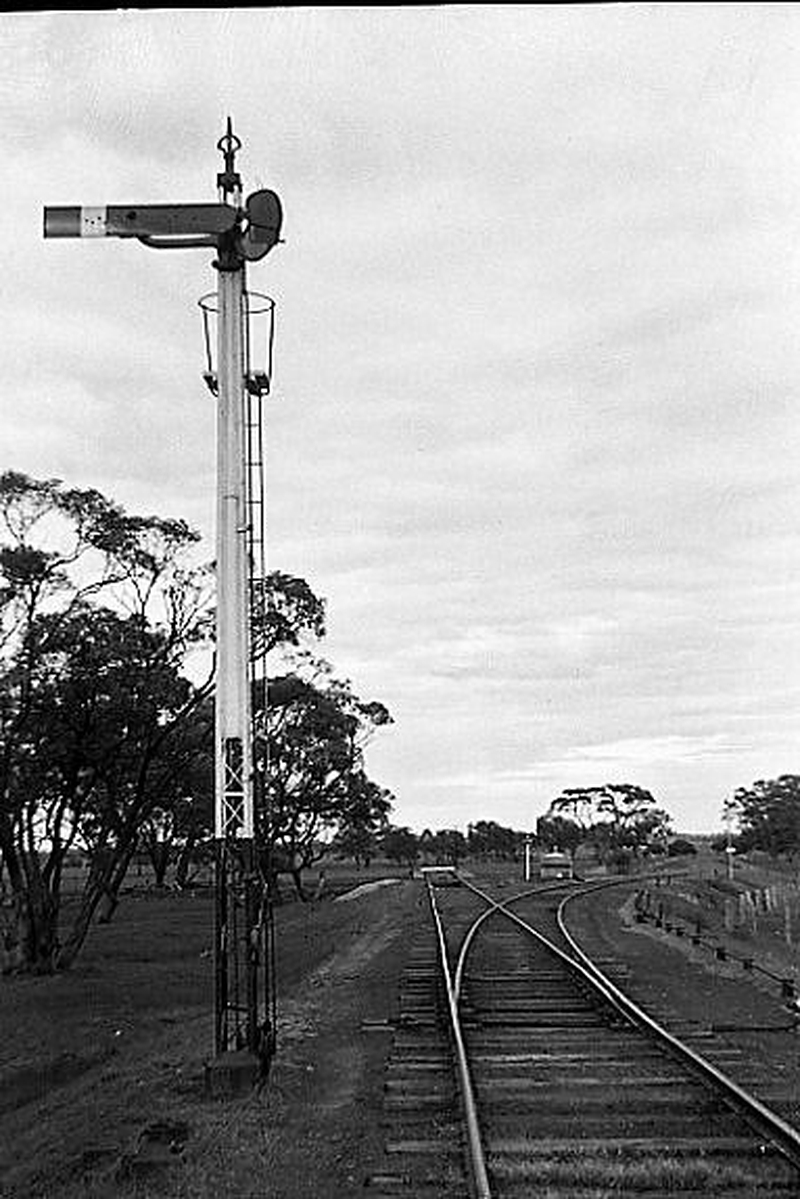 133539: Goroke Down Home Signal to Carpolac Line (at right),