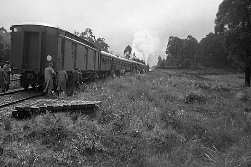 133548: Bravington Down ARHS Special (Last train to Nayook),