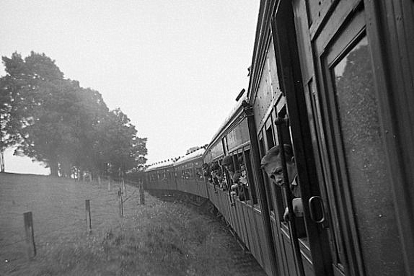 133551: Approaching Neerim Down ARHS Special (Last Train to Nayook),