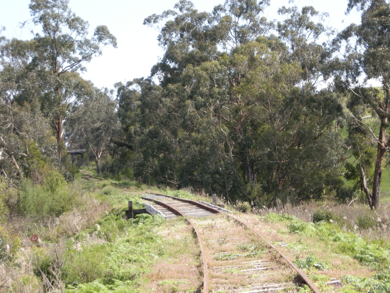 135597: 38 Miles Yarra Valley Tourist Railway looking West