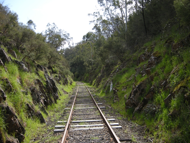 135601: 37 Miles Yarra Valley Tourist Railway looking West