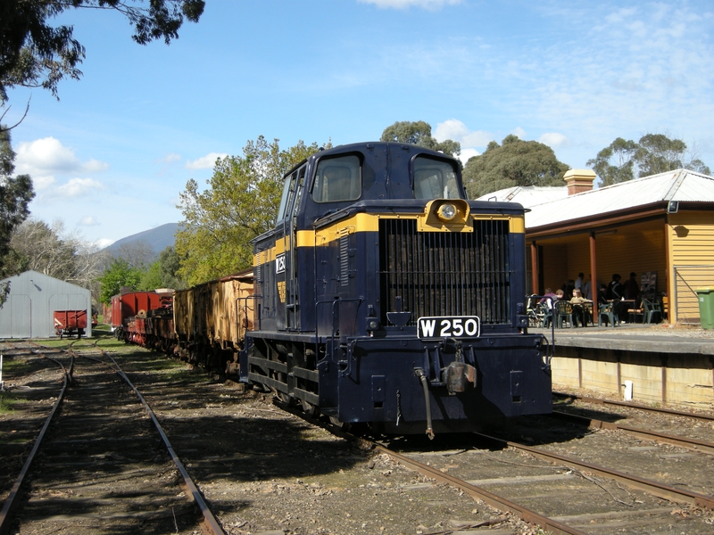 135607: Healesville Display W 250 and freight vehicles