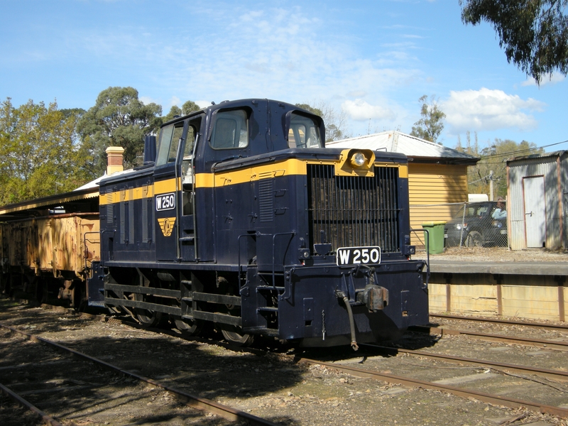 135608: Healesville W 250 and freight rolling stock