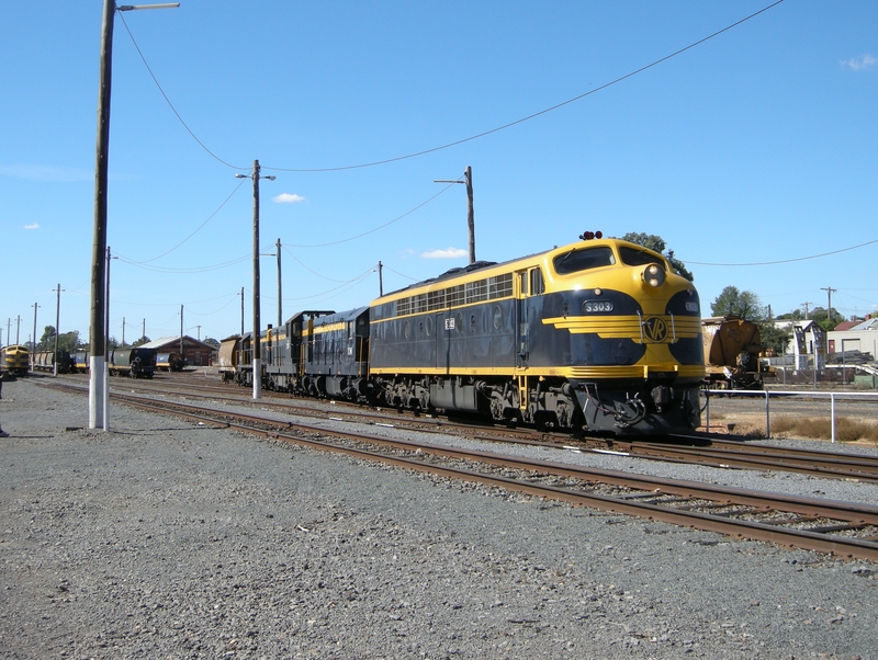 136504: Maryborough shunting Up El Zorro Grain Train S 303 T 341 T 357 T 413