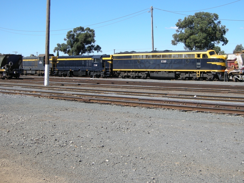 136506: Maryborough shunting Up El Zorro Grain Train S 303 T 341 T 357 T 413