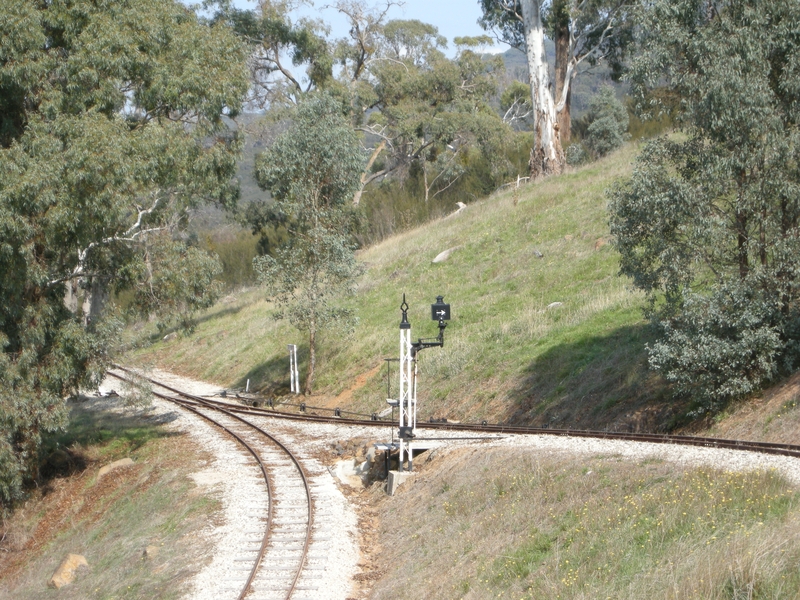 136553: Kerrisdale Mountain Railway Top Points viewed from descending train