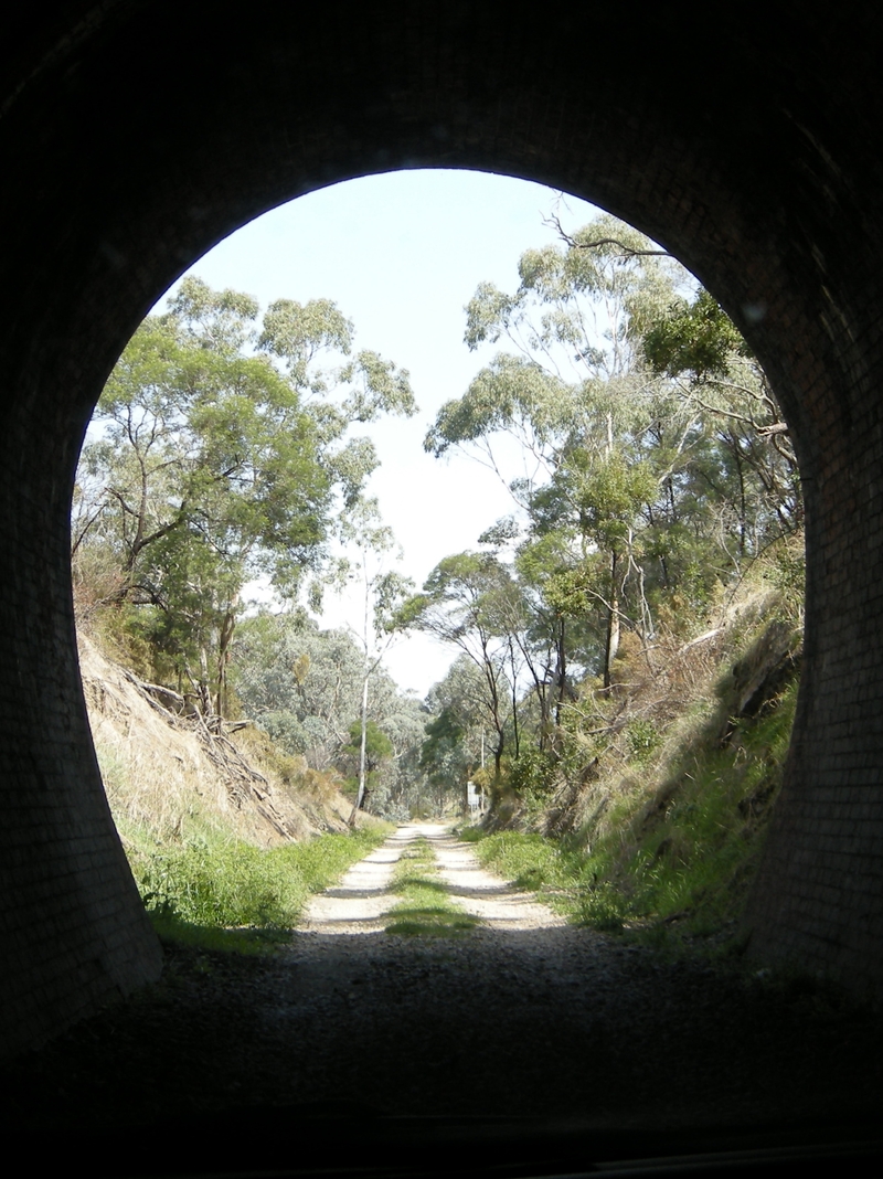 136558: Cheviot Tunnel Up Portal looking towards Yea