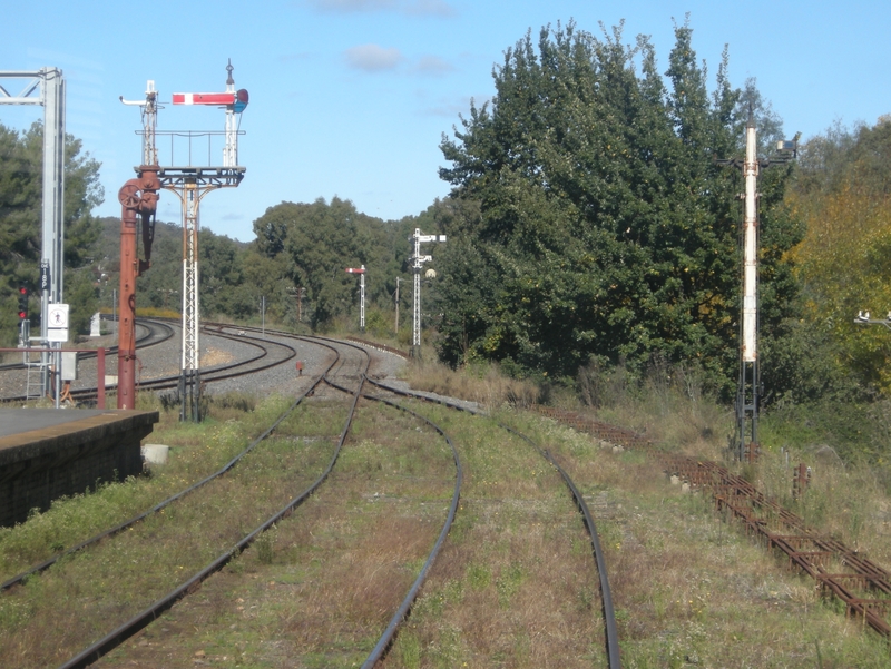 136844: Castlemaine Looking South