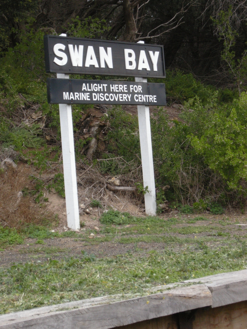 136982: Swan Bay