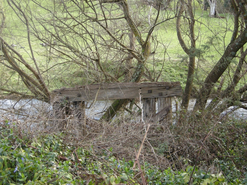 137233: Narracan Falls Bridge Bent looking towards Thorpdale