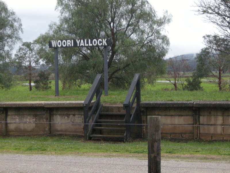 137674: Warburton Rail Trail Woori Yallock Station Looking North