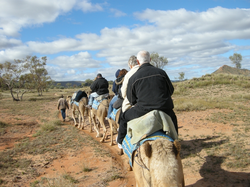 201573: Camel Ride off Ilparpa Road  Alice Springs Northern Territory
