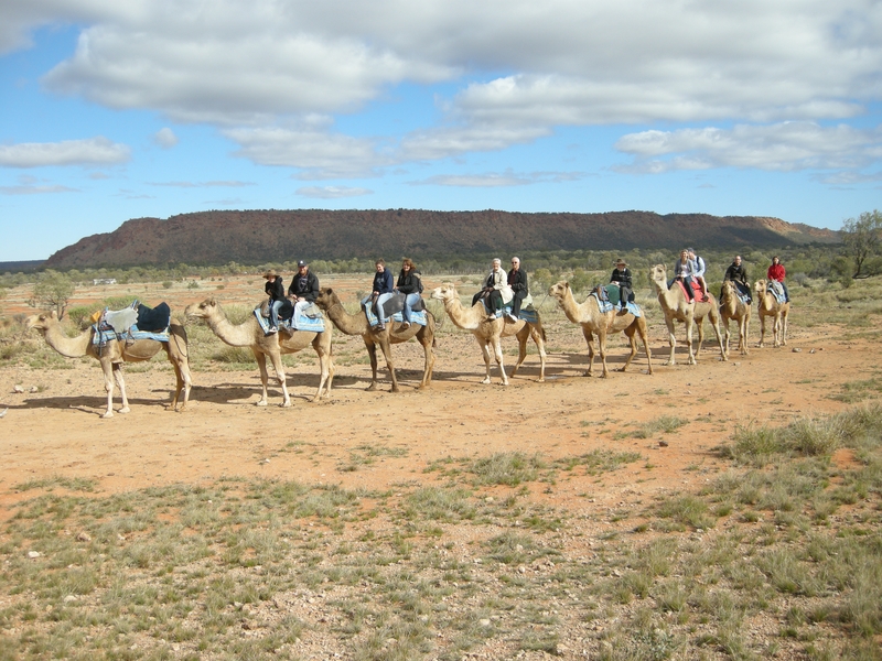 201575: Camel Ride off Ilparpa Road Alice Springs Northern Territory