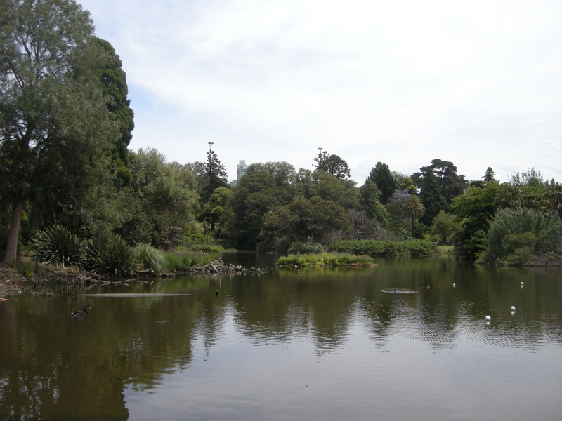 201664: Royal Botancal Gardens Melbourne near Picnic Point City Buildings in distance