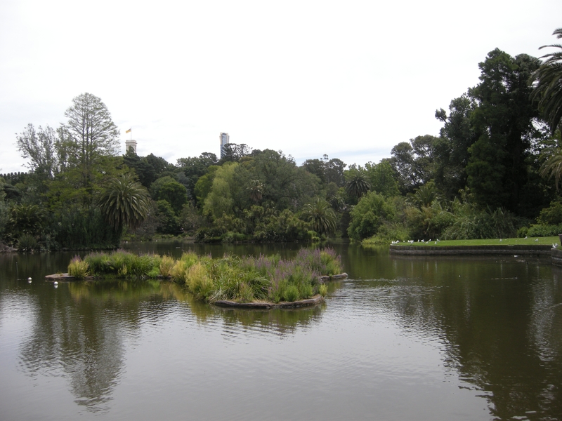 201666: Royal Botanical Gardens Melbourne Government House in distance Northern Lawn at right