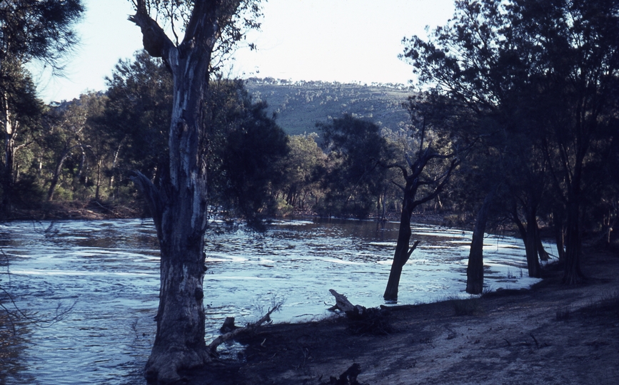 400164: Walyunga National Park WA Avon River looking downstream