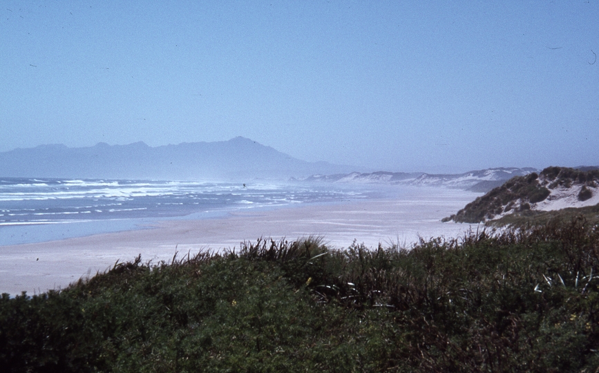 400380: Strahan Tasmania Ocean Beach looking North