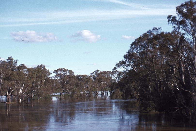 400407: Murchison Victoria Goulburn River in flood viewed from train on railway bridge