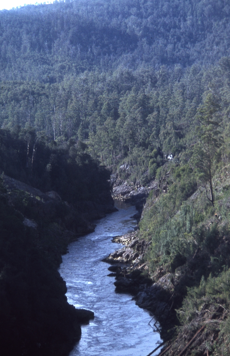 400443: Pieman River Tasmania looking upstream from second EBR Bridge