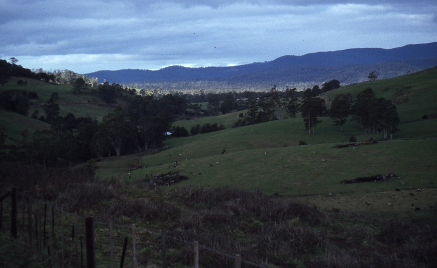 400444: View from Mile 82.25 Herrick Line Tasmania