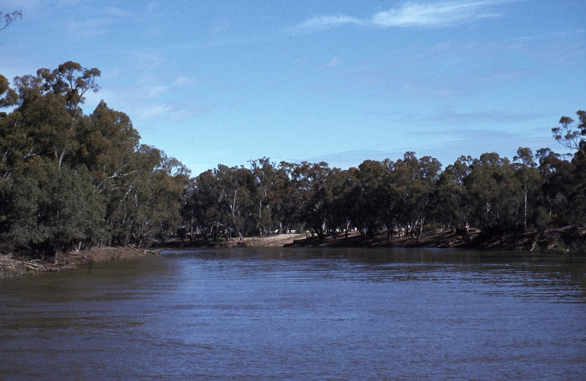400449: River Murray NSW 1 km upstream from Echuca looking upstream Victorian bank on right