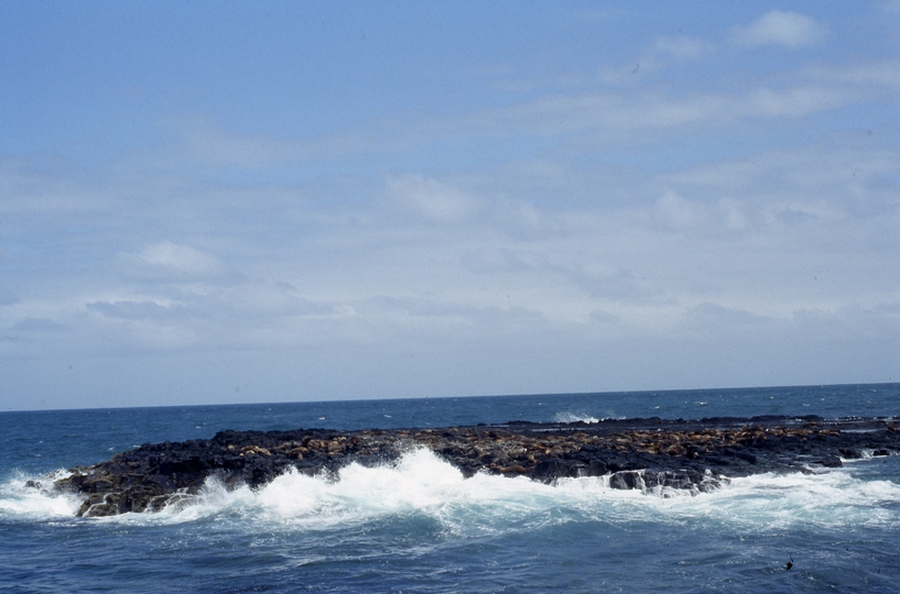 400620: Phillip Island Victoria Seal Rocks