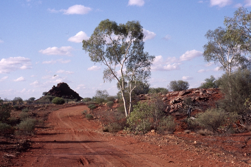 400795: km 1257 Tarcoola Alice Springs Railway Reserve NT Ghost Gums