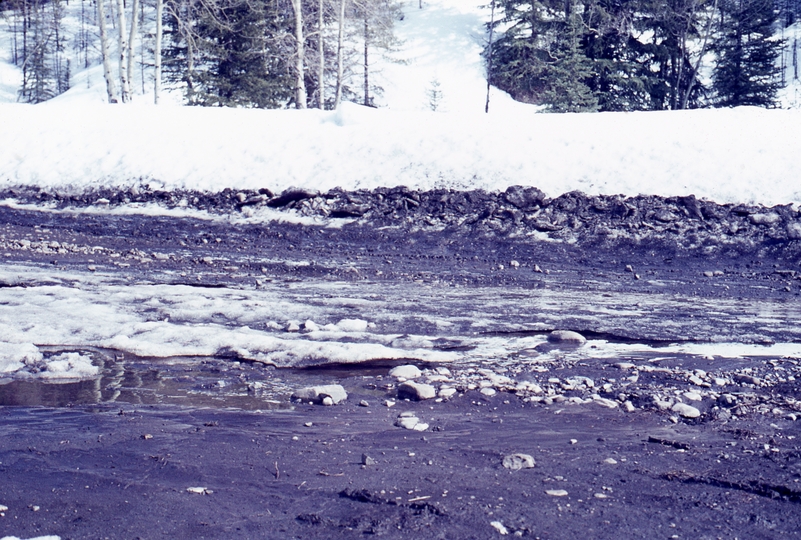 401279: Fording River BC CPR Survey Camp Canada Melting snow on road