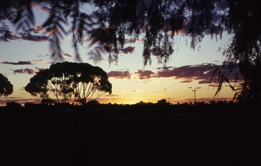 401545: Southern Cross Western Australia Sunset Photo Wendy Langford
