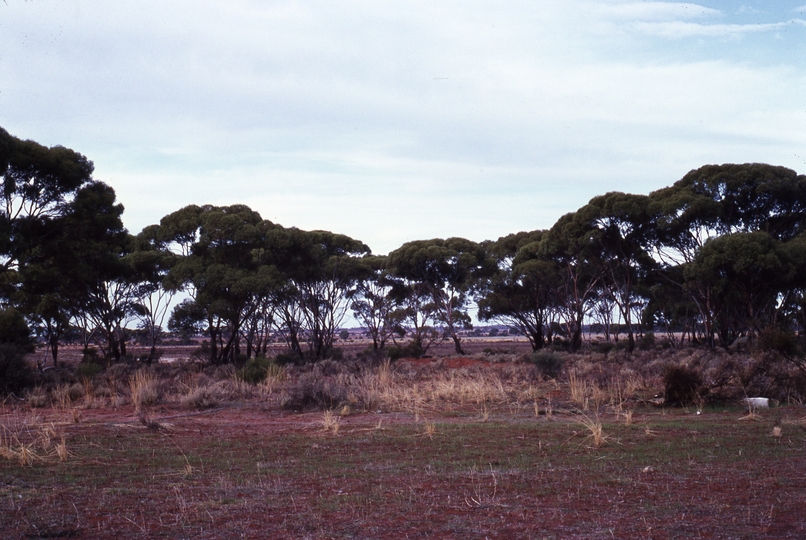 401552: View from Southern Cross Hospital Western Australia looking towards Kalgoorlie Road Photo Wendy Langford