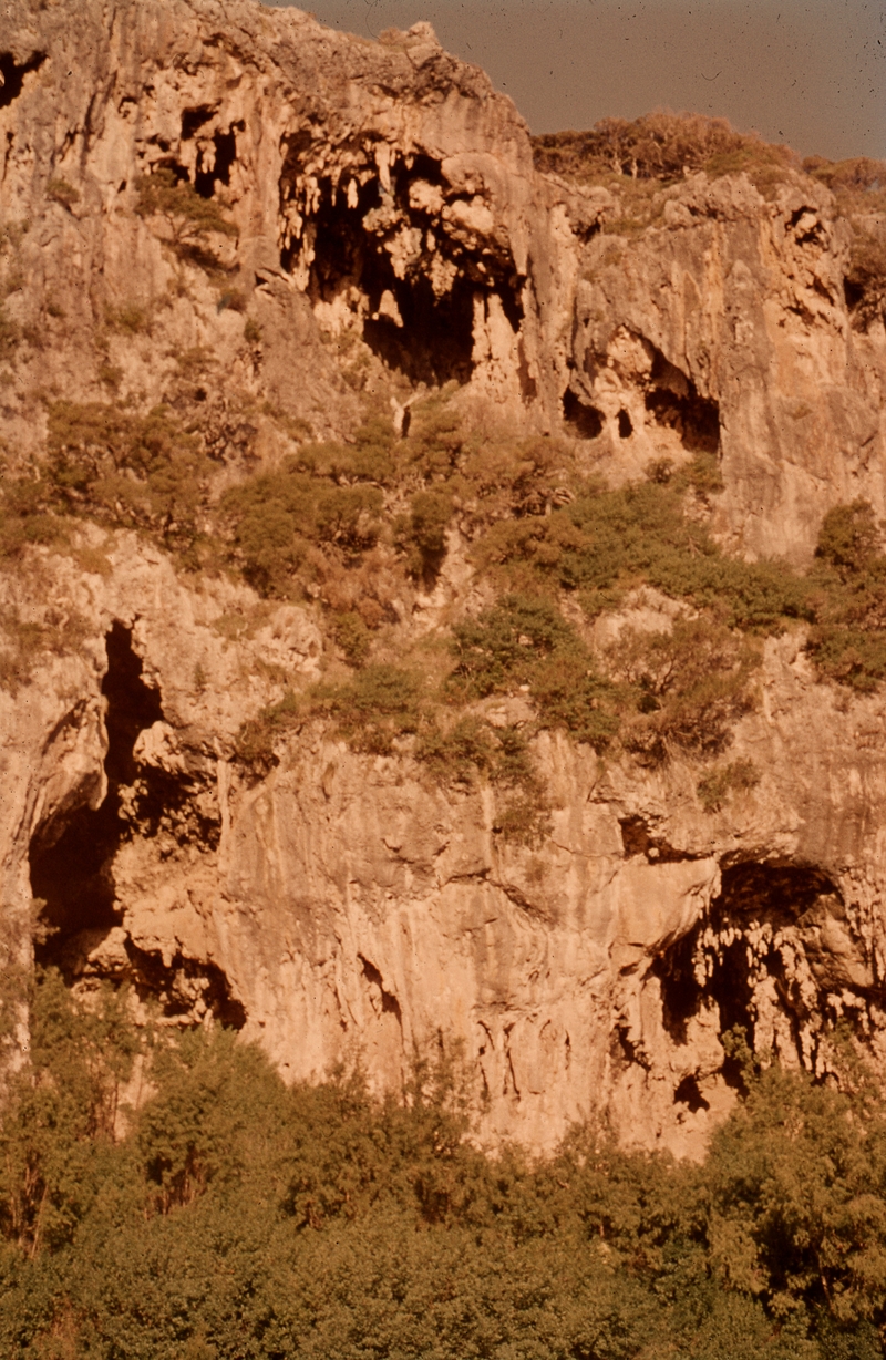 401620: Deepdene Western Australia Limestone Cliffs Photo Wendy Langford