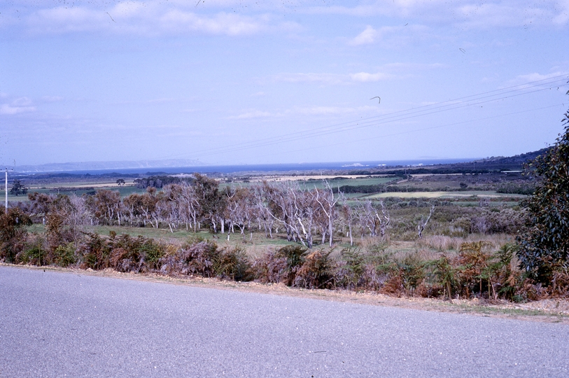 401642: Albany Western Australia Road from Denmark Photo Wendy Langford