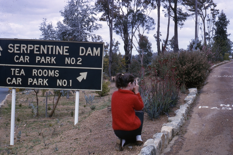 401653: Serpentine Sign at Dam Photo Wendy Langford