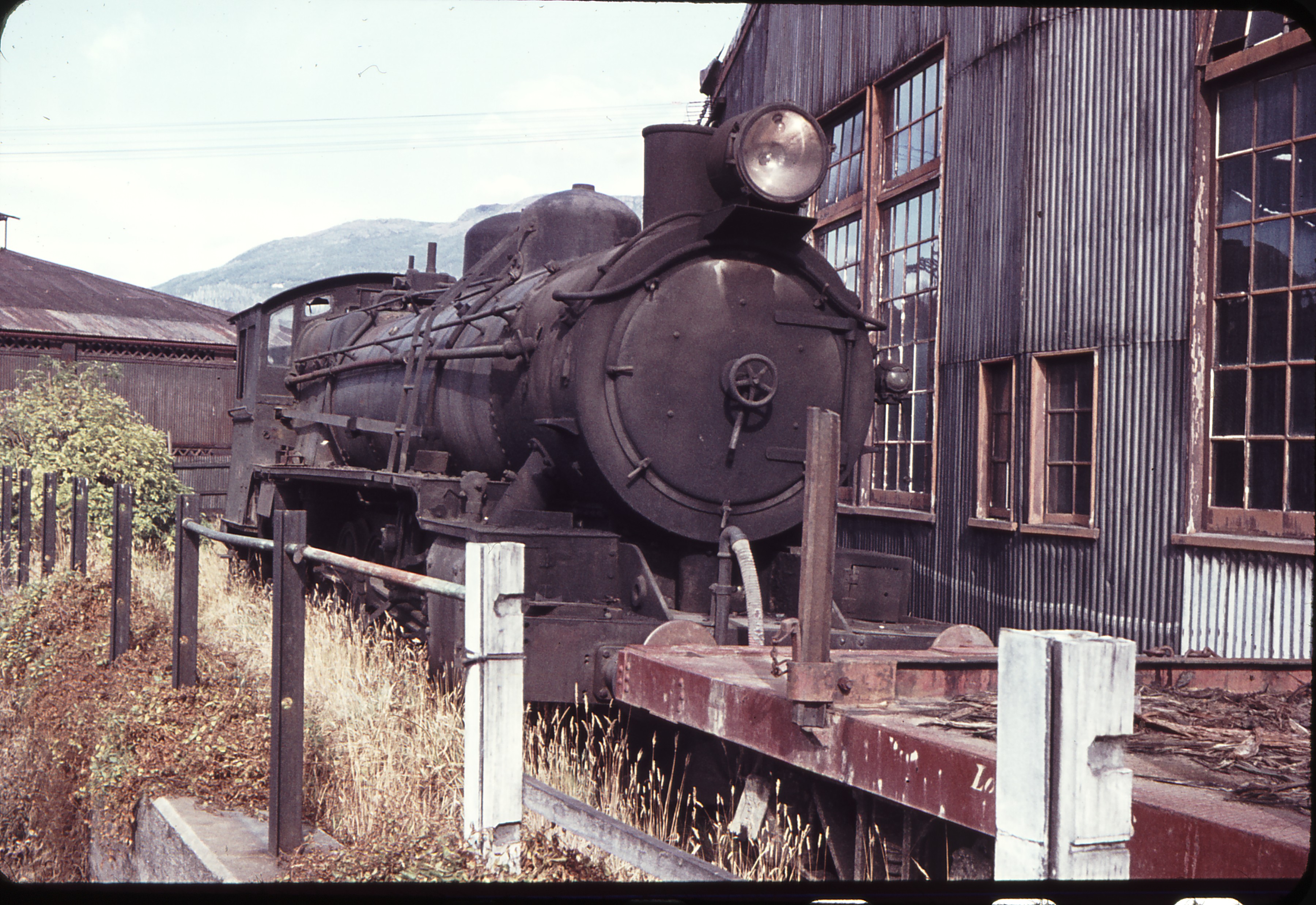 Weston Langford105779: Hobart Locomotive Depot Q 19