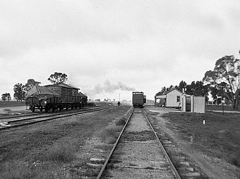 Weston Langford133532: Murrabit Up goods in distance