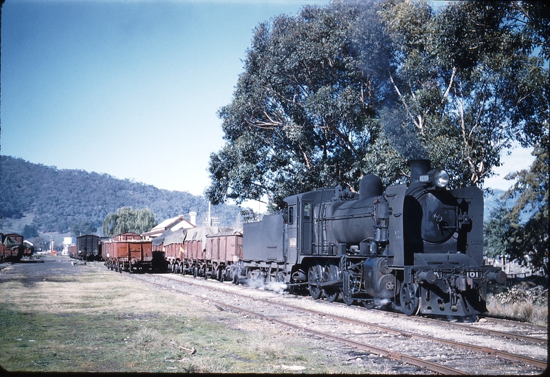 100029: Myrtleford Up Goods K 161