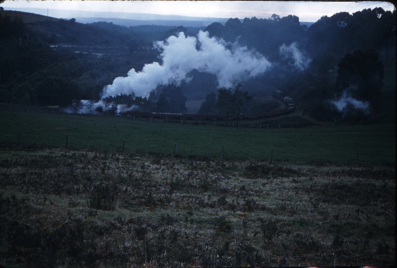 100099: McDevitt Down Side Down Beech Forest Goods G 42 Distant side-on view