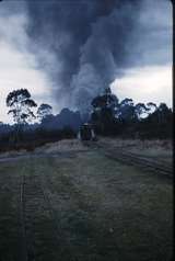 100100: Dinmont Down Beech Forest Goods G 42 Head-on Vertical format