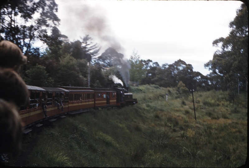 100147: Tecoma - Belgrave section Down Passenger 7A receding view from cars Photo W M Langford