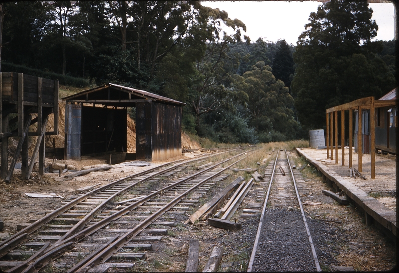 100154: Belgrave Narrow Gauge Yard viewed from up end