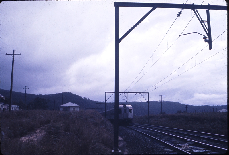 100181: near Koolewong Single Deck Interurban Photo W M Langford