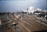 100188: Kyoto Japan emu in distance Photo W M Langford