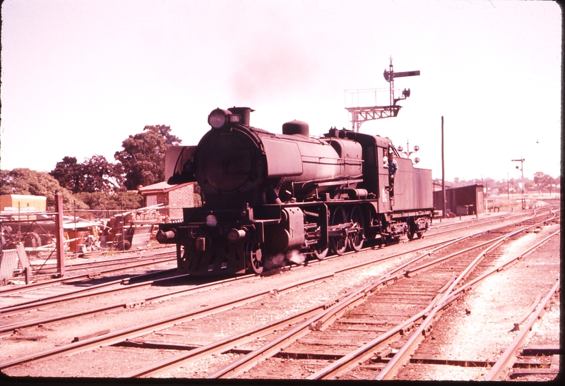 100258: Maryborough - C 13