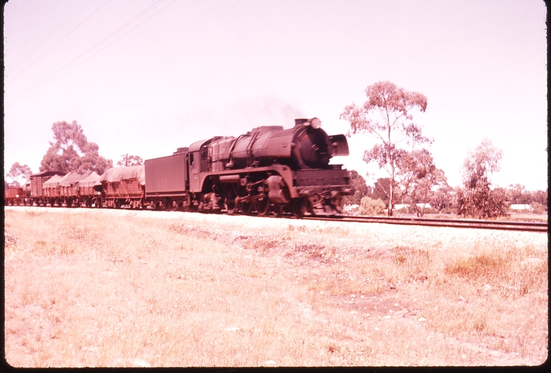 100259: Maryborough 8:45am Goods to Donald R 703